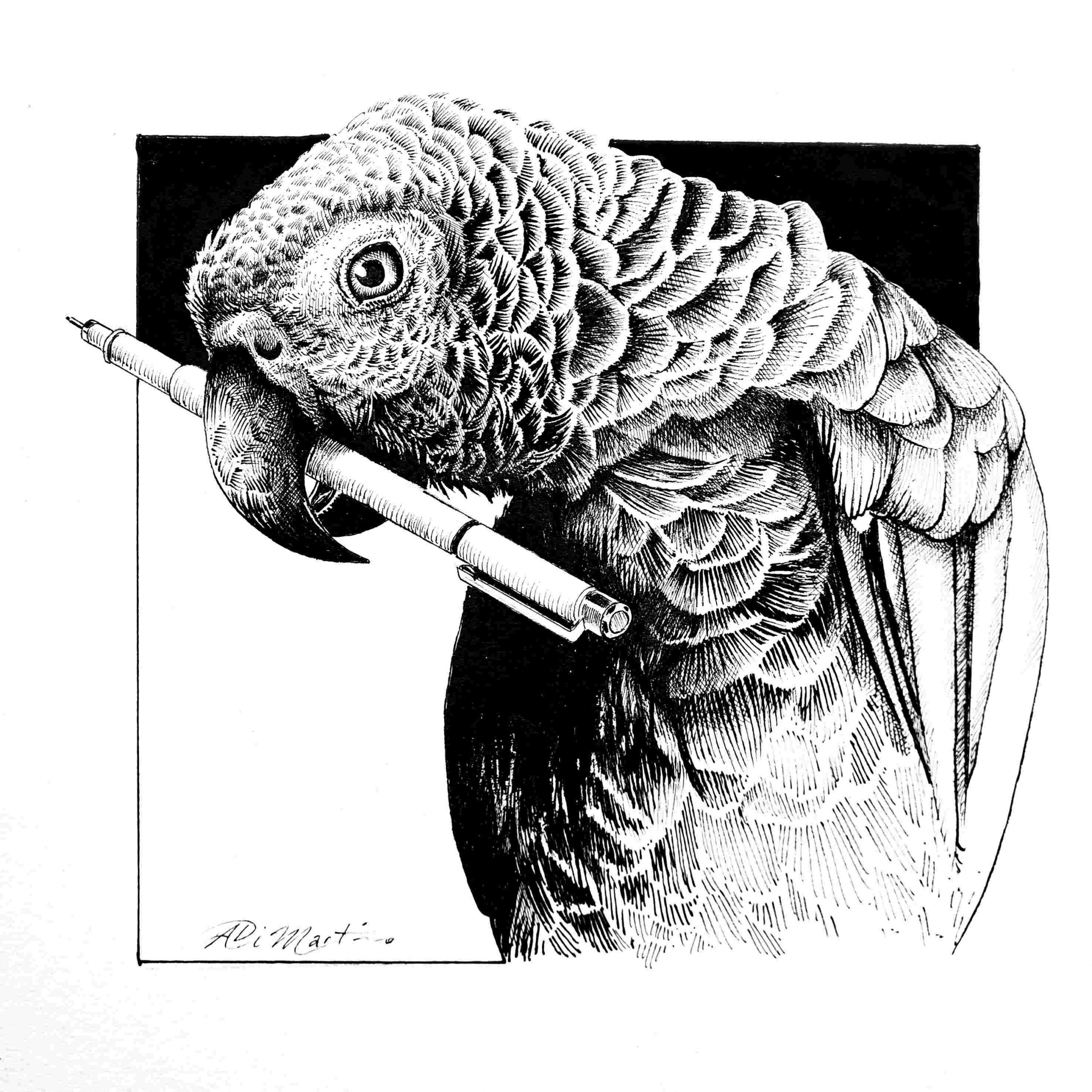 Draw Birds Parrot Drawing Clip Art - Parrot Drawing - Free Transparent PNG  Clipart Images Download