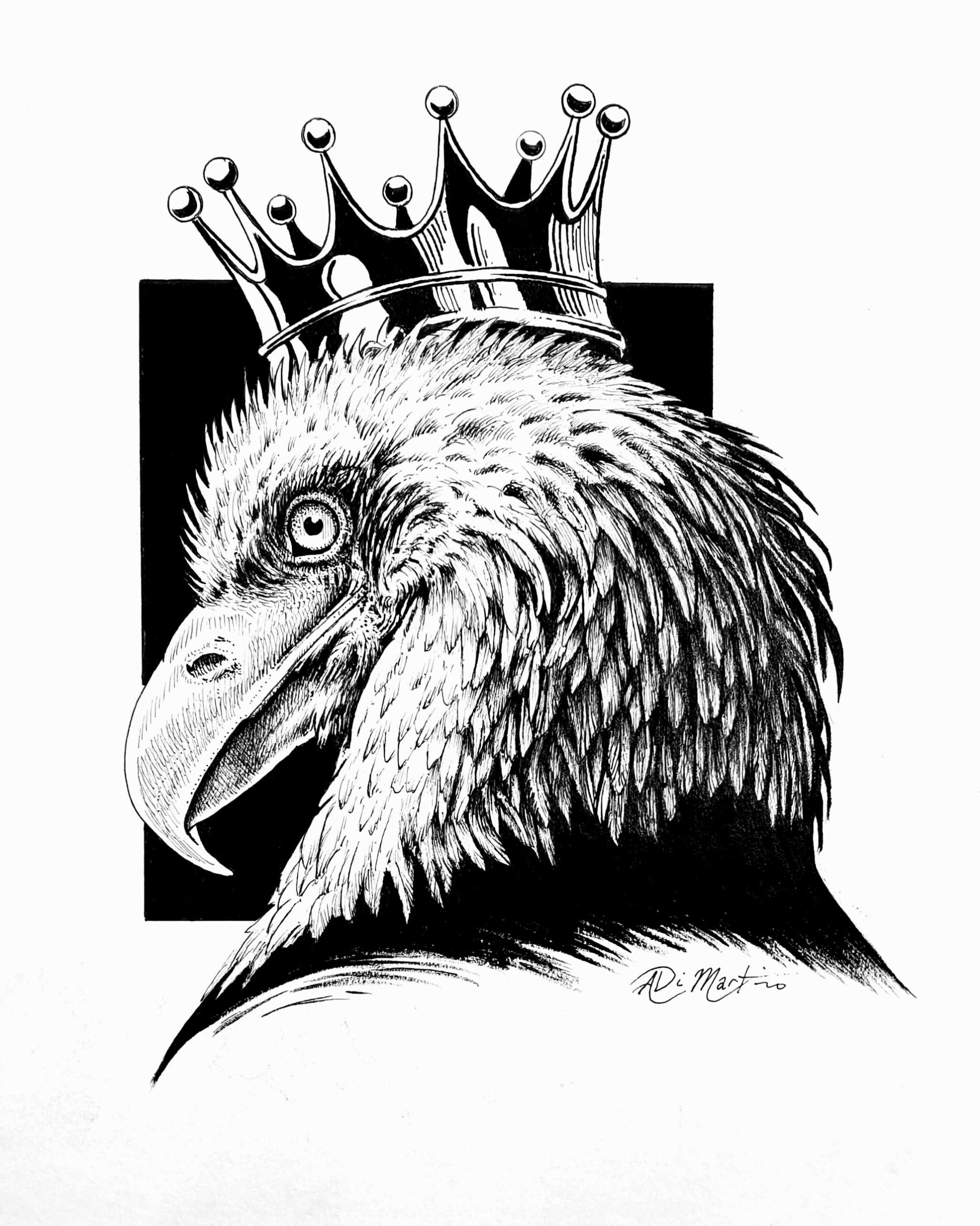 the king of birds